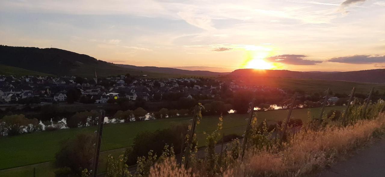 Ferienhaus Elisa Trittenheim Kültér fotó